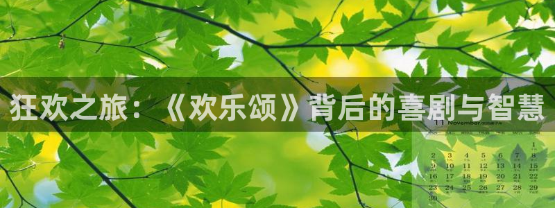可可影视安卓：狂欢之旅：《欢乐颂》背后的喜剧与智慧