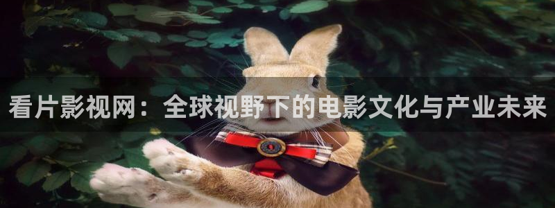 下载可可可影视：看片影视网：全球视野下的电影文化与产业未来