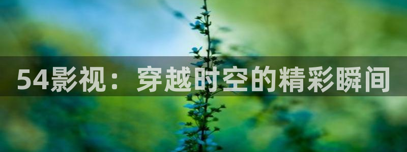 可可影视野草口令：54影视：穿越时空的精彩瞬间