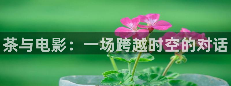 可可影视下载链接：茶与电影：一场跨越时空的对话