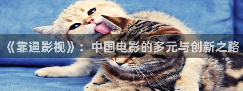 可可影业：《靠逼影视》：中国电影的多元与创新之路