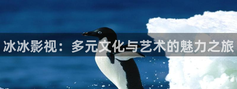 可可影视怎么登录：冰冰影视：多元文化与艺术的魅力之旅